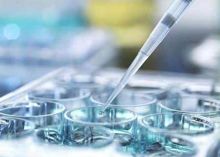 〖南宁国内同性恋可以去做试管婴儿吗?〗南宁国内同性恋试管婴儿可行吗? 〖南宁国内同性恋可以去做试管婴儿吗?〗南宁国内同性恋试管婴儿可行吗?